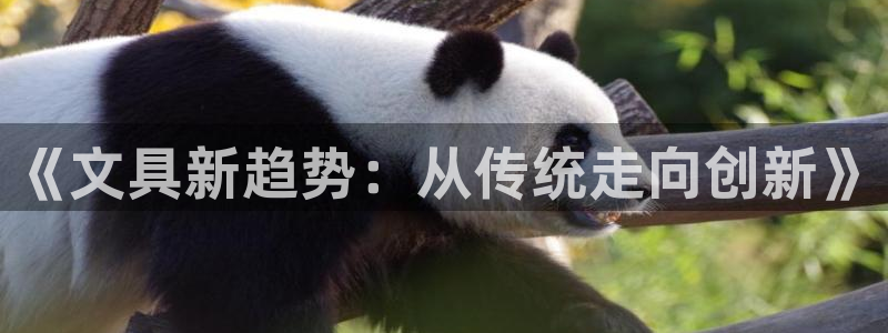 观海卧龙娱乐：《文具新趋势：从传统走向创