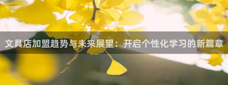 卧龙娱乐官网下载：文具店加盟趋势与未来展
