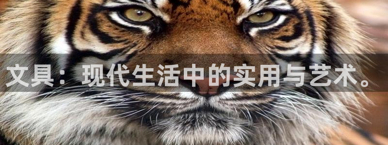 南阳卧龙娱乐会所评价：文具：现代生活中的