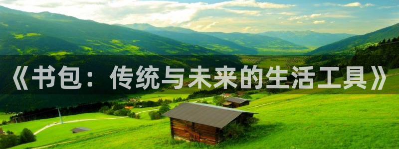 星鸿娱乐 0 47卧龙：《书包：传统与未