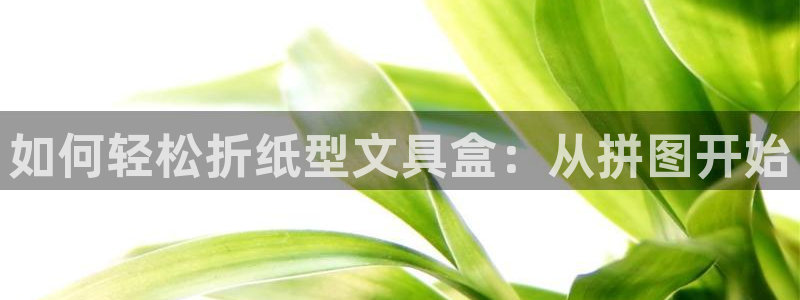 卧龙说娱乐：如何轻松折纸型文具盒：从拼图