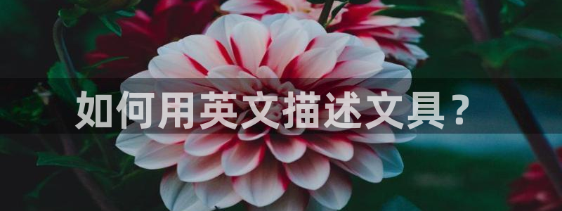 卧龙娱乐注册链接：如何用英文描述文具？