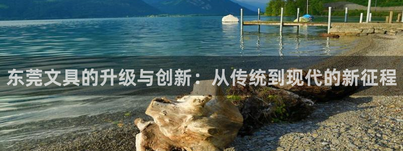 卧龙娱乐平台靠谱：东莞文具的升级与创新：