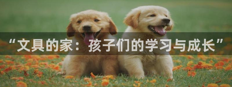 卧龙娱乐：“文具的家：孩子们的学习与成长