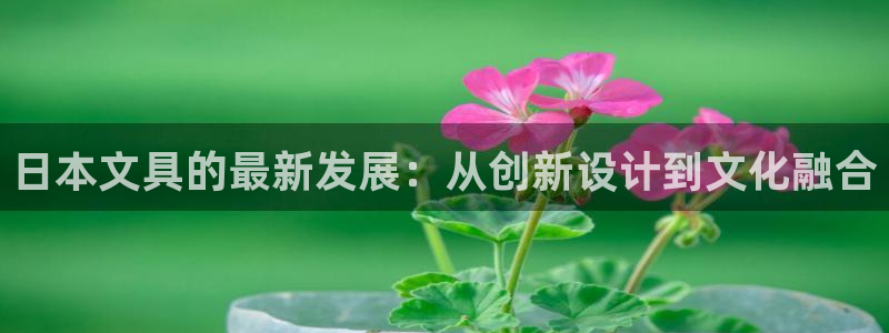 卧龙娱乐网址：日本文具的最新发展：从创新