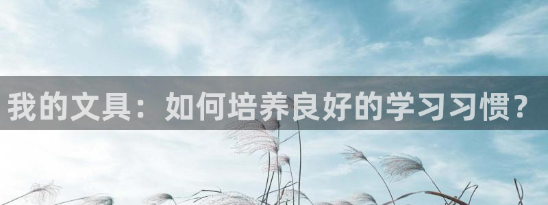 广丰卧龙城娱乐：我的文具：如何培养良好的