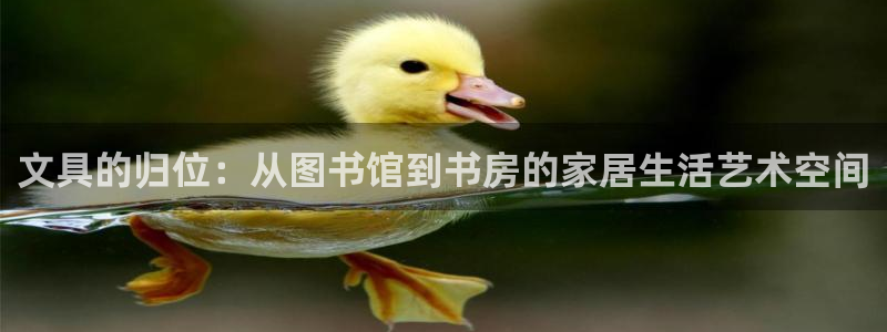 卧龙娱乐322901：文具的归位：从图书