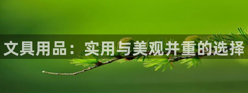 卧龙娱乐招商主管招聘：文具用品：实用与美