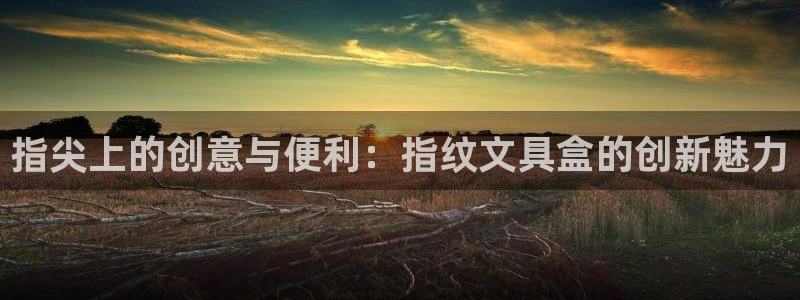 PT娱乐卧龙主管60447：指尖上的创意