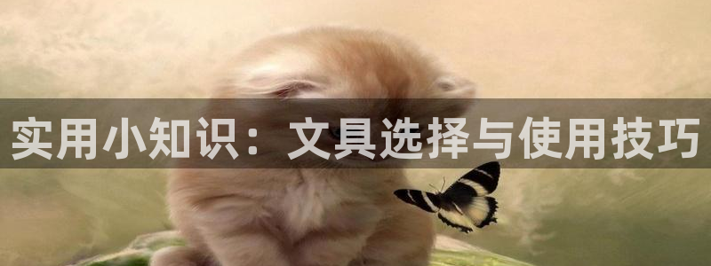 卧龙沙滩蹦床娱乐：实用小知识：文具选择与