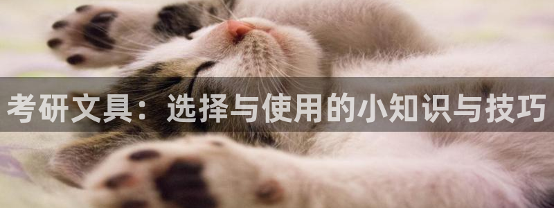 卧龙娱乐地址：考研文具：选择与使用的小知