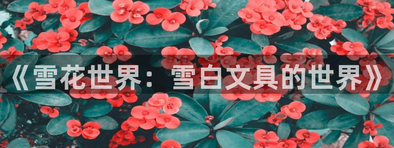 卧龙娱乐qv396667：《雪花世界：雪