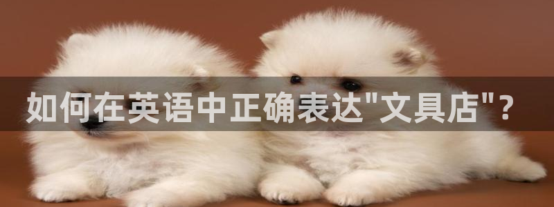 PT娱乐 扣卧龙60447：如何在英语中