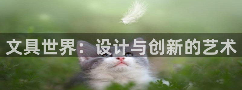 卧龙娱乐账号登录设置：文具世界：设计与创