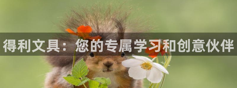 卧龙娱乐怎么样：得利文具：您的专属学习和