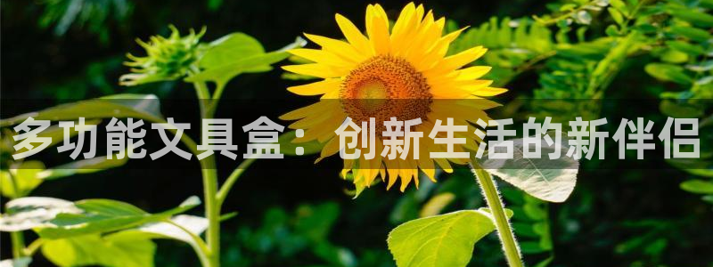 卧龙娱乐下载安装：多功能文具盒：创新生活