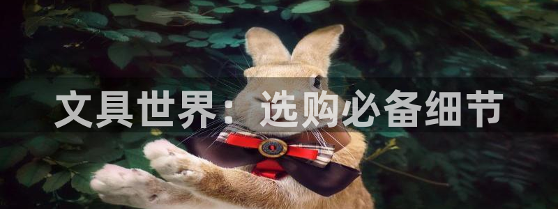 卧龙娱乐平台可靠吗：文具世界：选购必备细