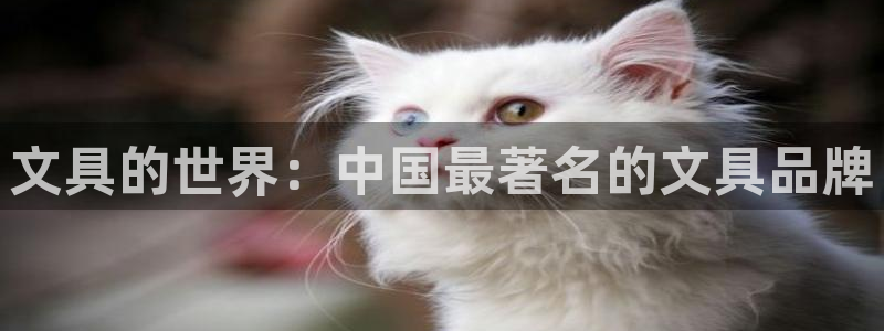 柏林娱乐 柏林卧龙 0：文具的世界：中国