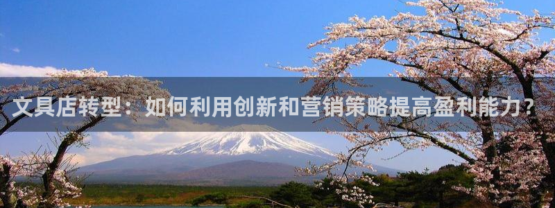 j卧龙娱乐：文具店转型：如何利用创新和营