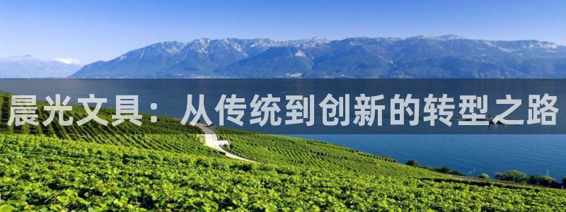 柏林娱乐- 0 卧龙：晨光文具：从传统到