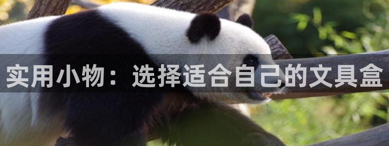 卧龙娱乐怎么注册会员：实用小物：选择适合