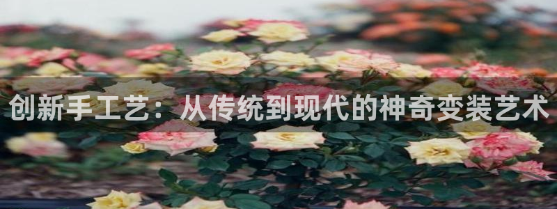 卧龙娱乐app下载：创新手工艺：从传统到