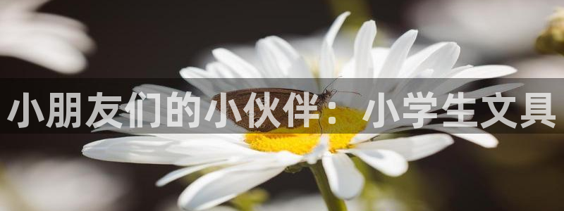 卧龙娱乐右7O667：小朋友们的小伙伴：