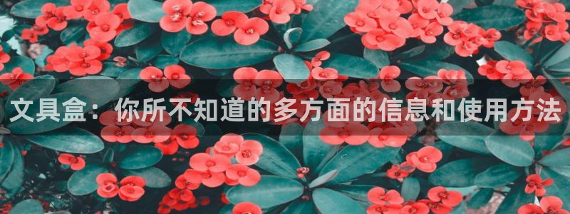 绥阳卧龙湖娱乐场所：文具盒：你所不知道的