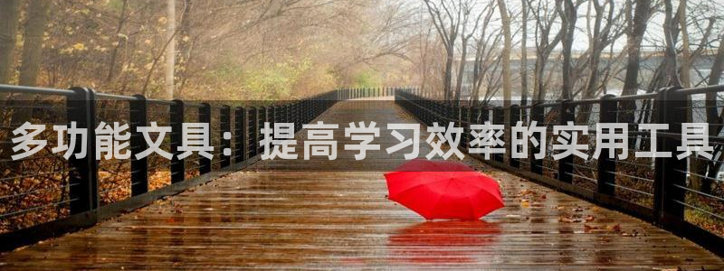 卧龙休闲娱乐推荐：多功能文具：提高学习效