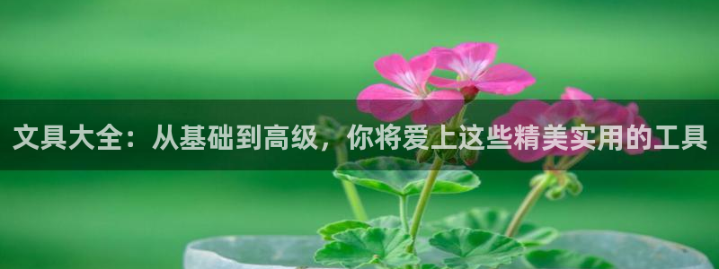 卧龙凤锄娱乐：文具大全：从基础到高级，你