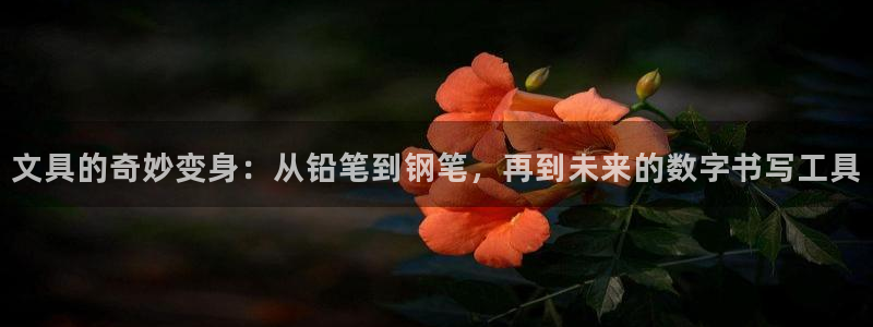 卧龙娱乐老板是谁呀图片：文具的奇妙变身：