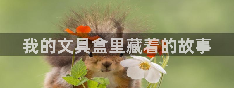 卧龙娱乐挂机软件下载：我的文具盒里藏着的