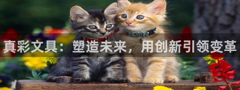 卧龙娱乐招商代理怎么样：真彩文具：塑造未