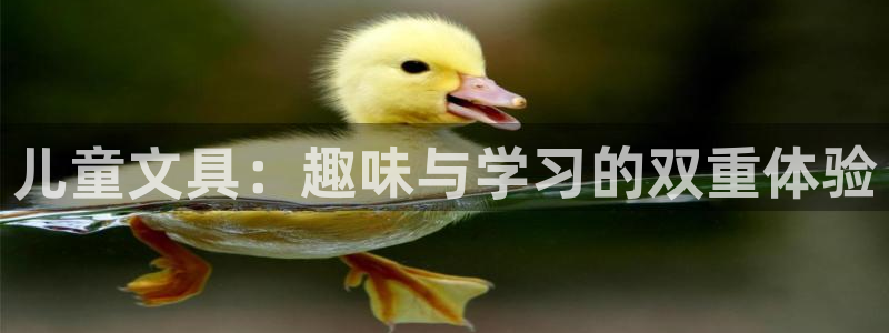 襄阳卧龙镇娱乐：儿童文具：趣味与学习的双