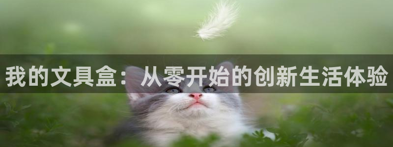 卧龙娱乐不出款了吗：我的文具盒：从零开始