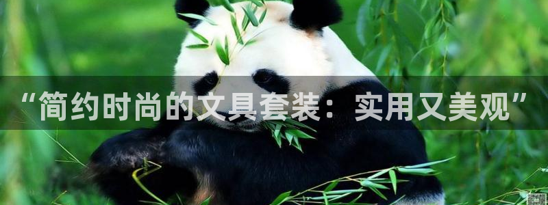 卧龙娱乐总管：“简约时尚的文具套装：实用