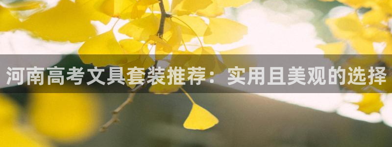 卧龙传统娱乐团购：河南高考文具套装推荐：