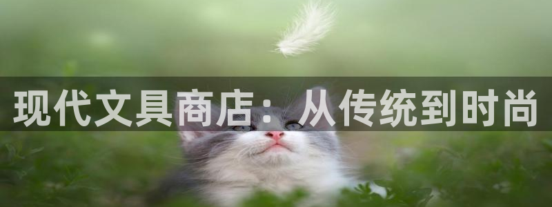 卧龙休闲娱乐优惠活动：现代文具商店：从传