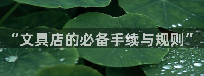 卧龙娱乐在线直播平台：“文具店的必备手续