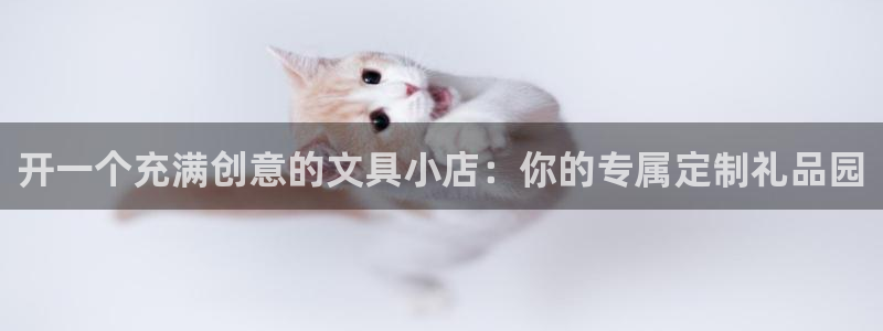 卧龙娱乐招商主管薪资：开一个充满创意的文