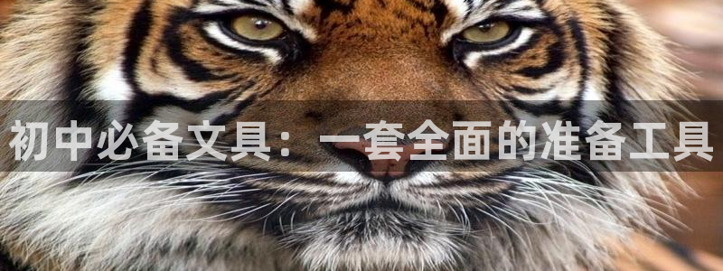 卧龙娱乐平台：初中必备文具：一套全面的准