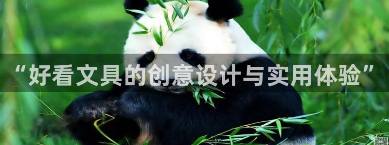 卧龙区凤凰娱乐：“好看文具的创意设计与实