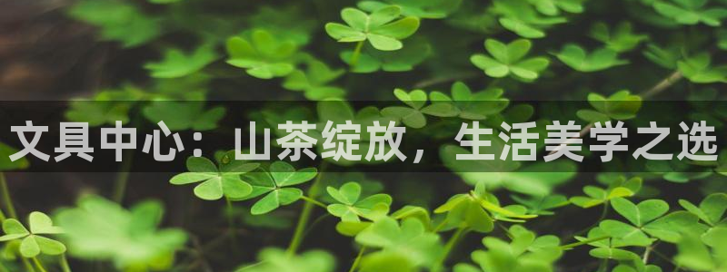 卧龙凤雏娱乐减肥：文具中心：山茶绽放，生