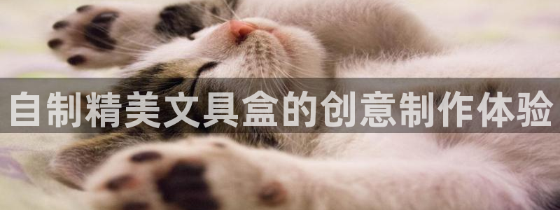 厦门卧龙台球娱乐会所：自制精美文具盒的创