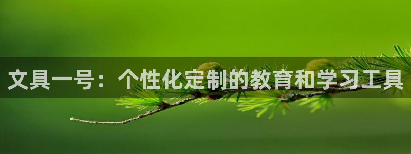 卧龙娱乐怎么不能注册：文具一号：个性化定