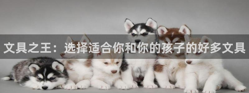 卧龙娱乐软件：文具之王：选择适合你和你的