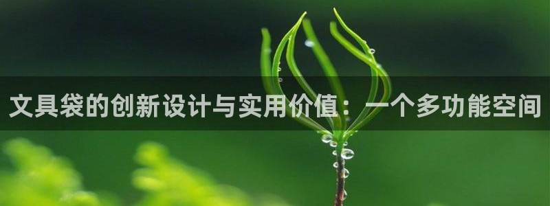 卧龙娱乐彩下载：文具袋的创新设计与实用价