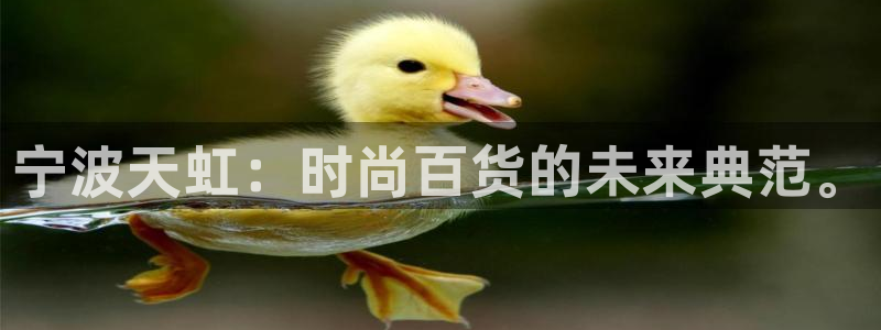 凤凰娱乐ktv卧龙路：宁波天虹：时尚百货