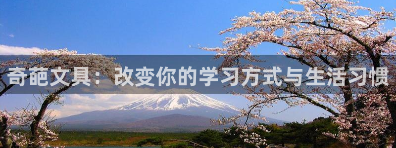 卧龙区休闲娱乐推荐：奇葩文具：改变你的学