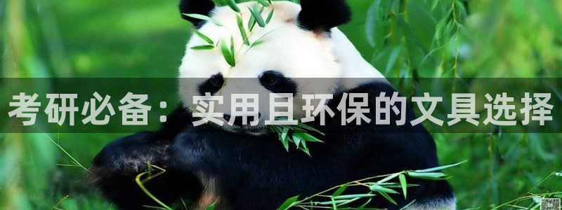 PT娱乐卧龙主管60447：考研必备：实